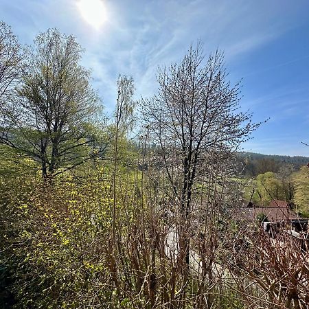 Natur Pur - Waldurlaub Im Tiny House Ronshausen Exterior photo